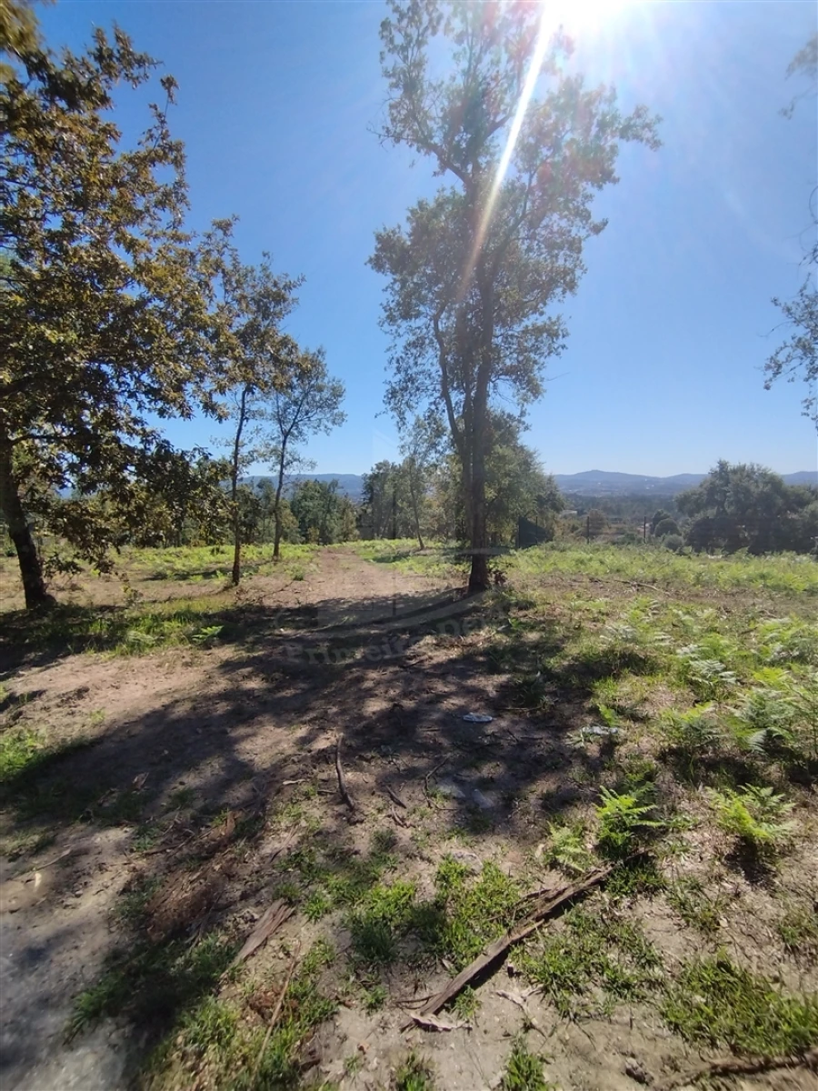 Terreno para Venda em Turiz Foto 9