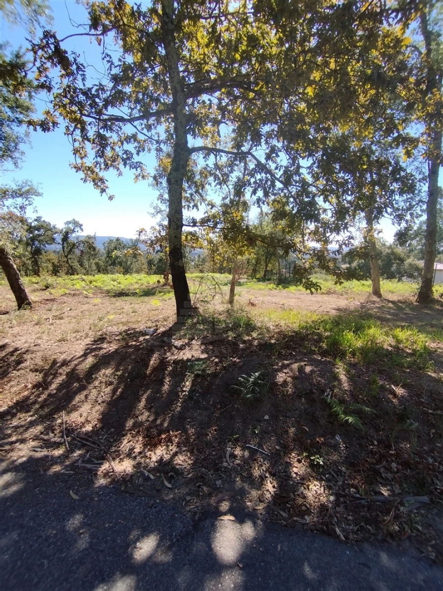 Terreno para Venda em Turiz Foto 11