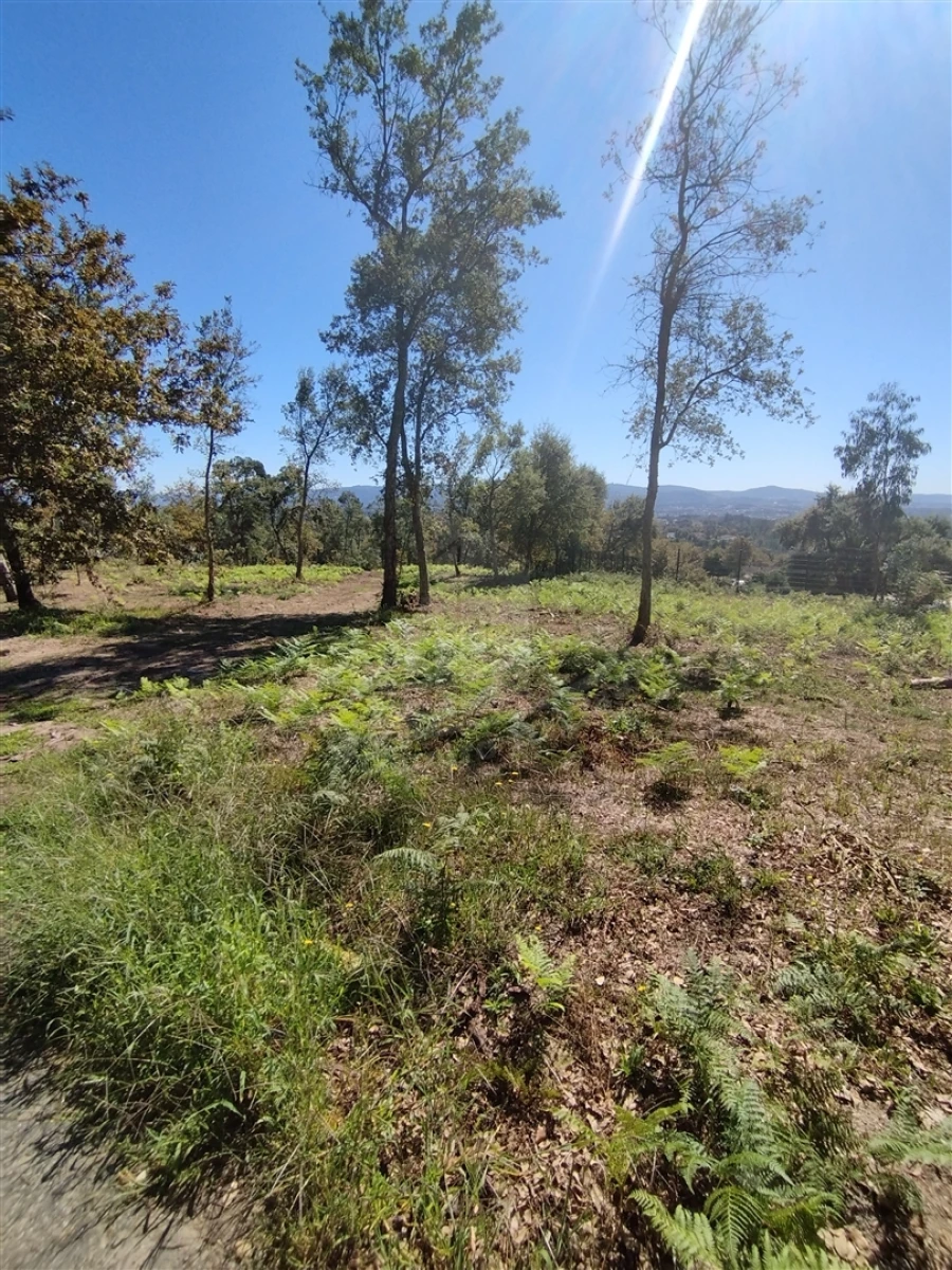 Terreno para Venda em Turiz Foto 13