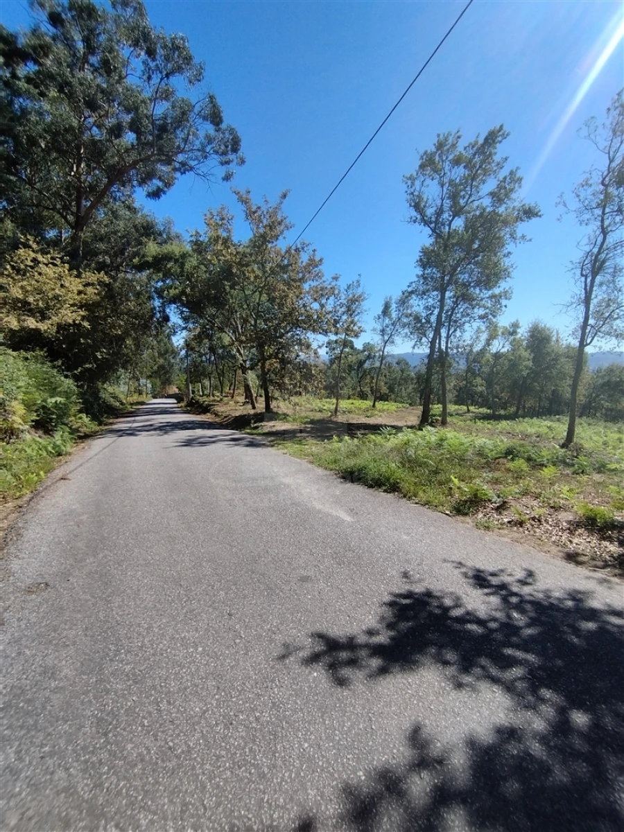 Terreno para Venda em Turiz Foto 3