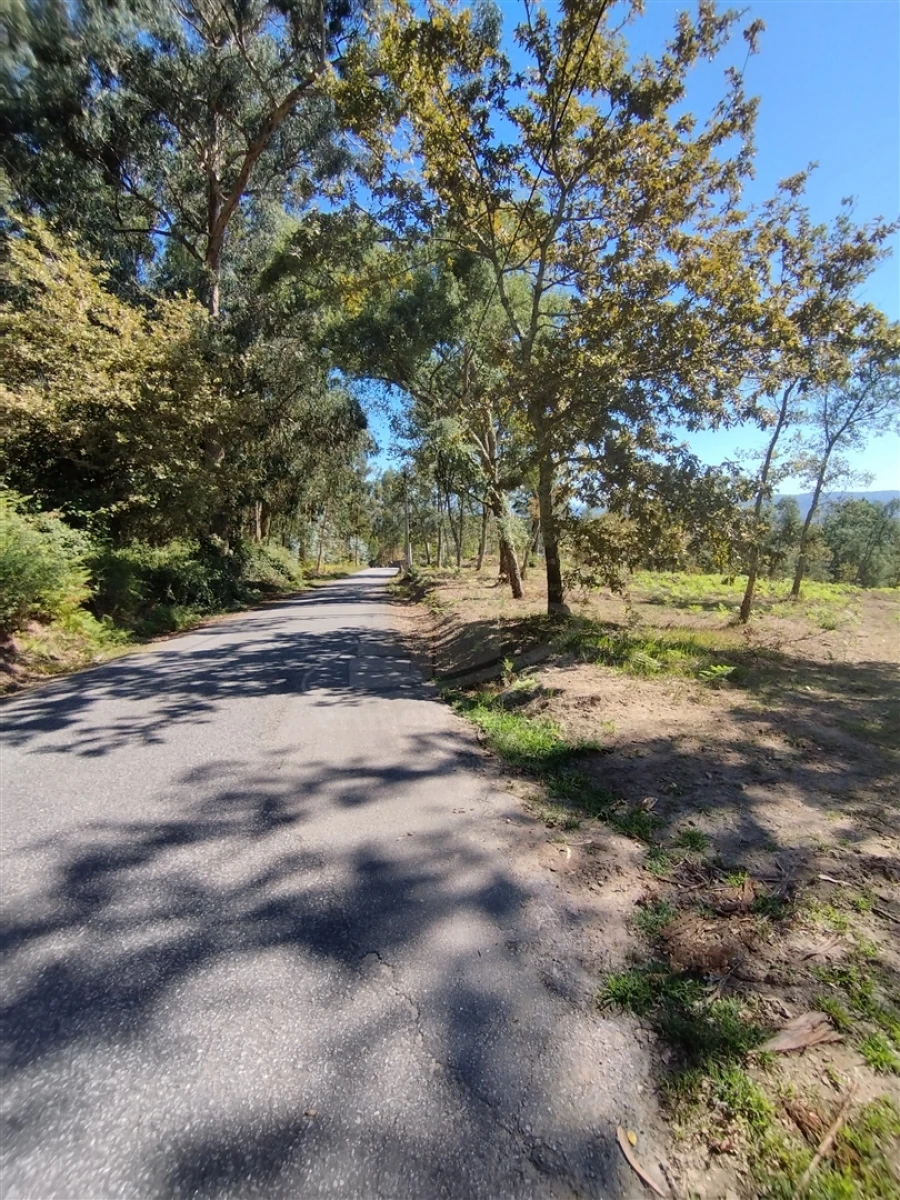 Terreno para Venda em Turiz Foto 8