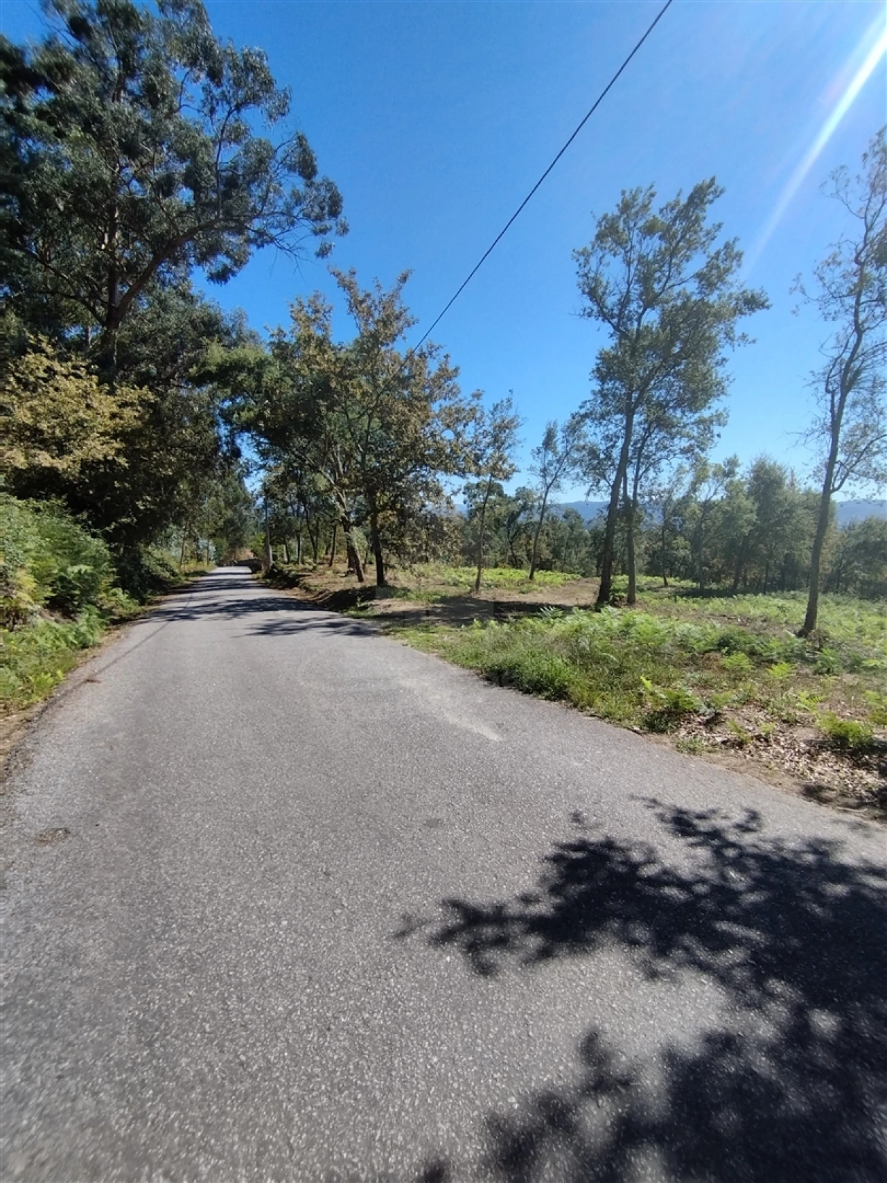 Terreno para Venda em Turiz Foto 3