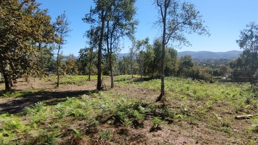 Terreno para Venda em Turiz