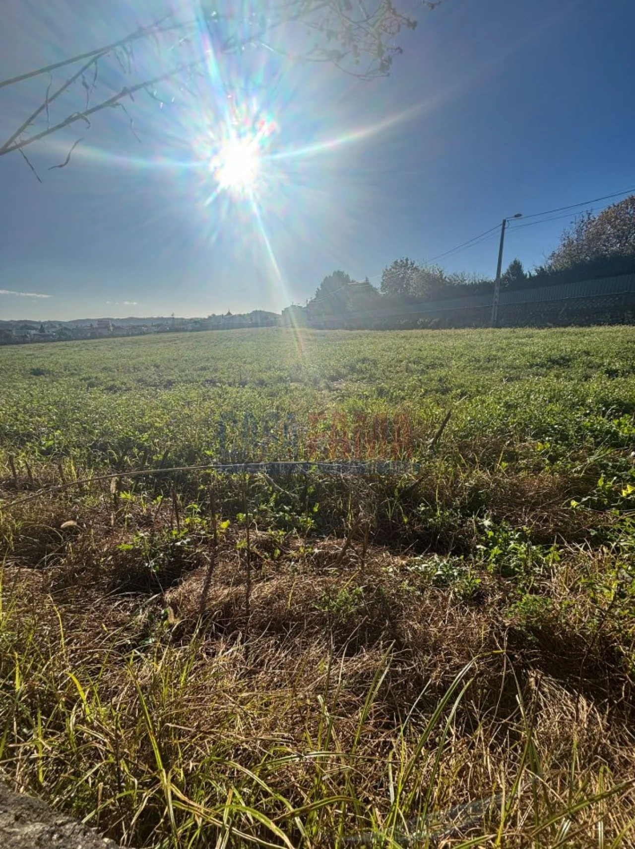 Terreno para Venda em Viatodos, Grimancelos, Minhotães, Monte Fralães Foto 6