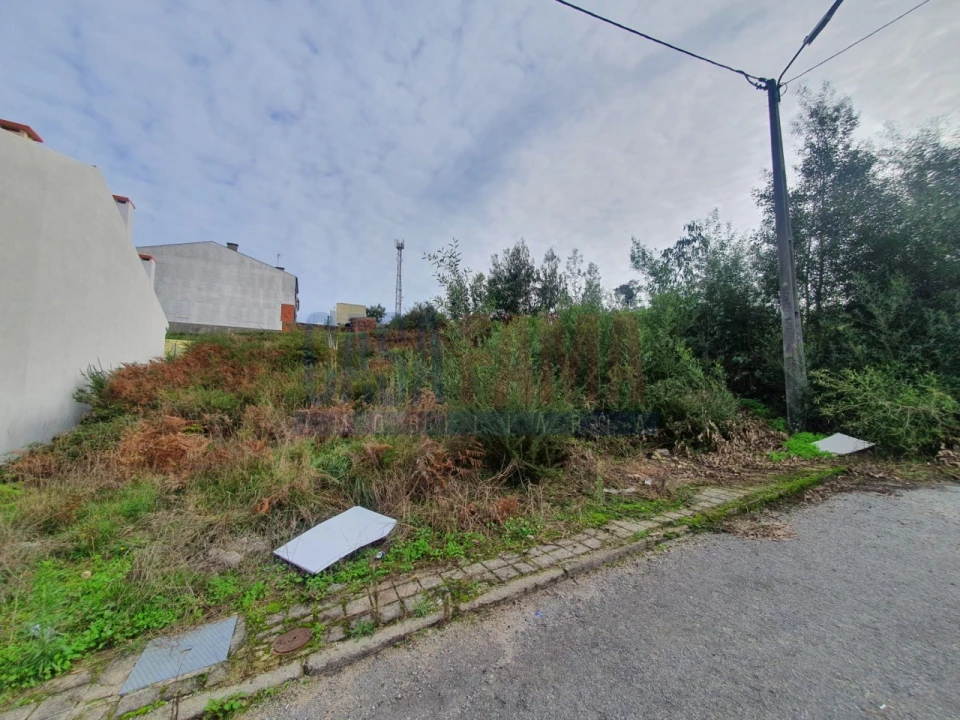Terreno para Venda em Coronado (São Romão e São Mamede) Foto 4