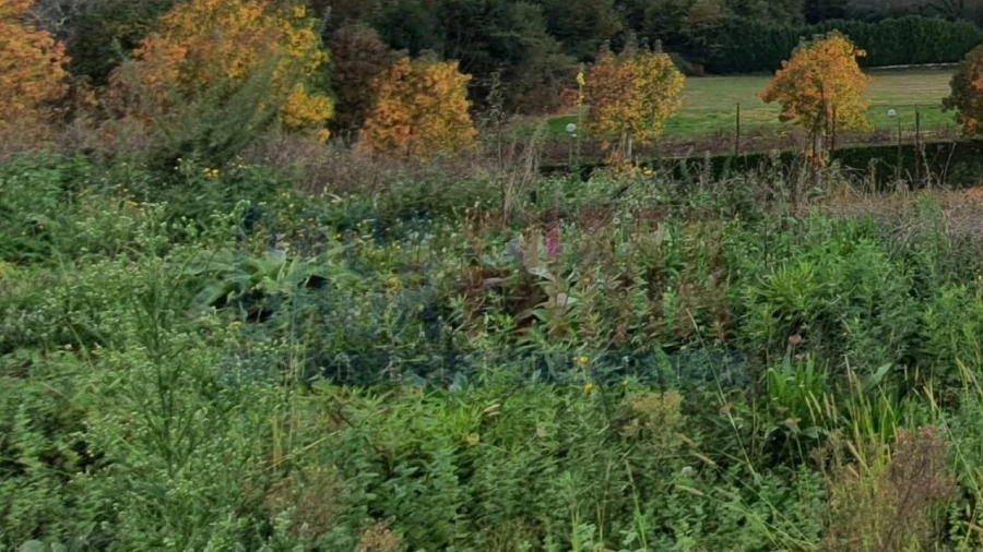 Terreno para Venda em Fradelos