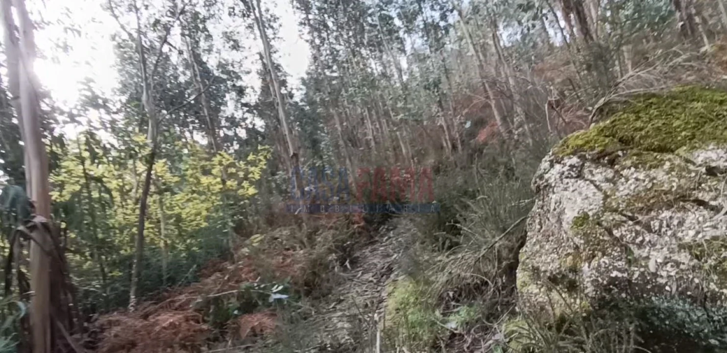Terreno Agricola ou Rústico para Venda em Sobradelo da Goma Foto 11