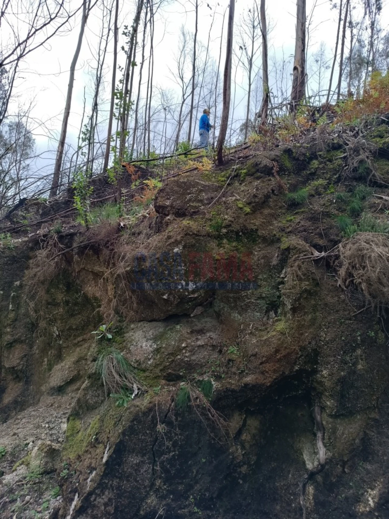 Terreno Agricola ou Rústico para Venda em Sobradelo da Goma Foto 22