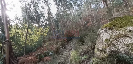 Terreno Agricola ou Rústico para Venda em Sobradelo da Goma