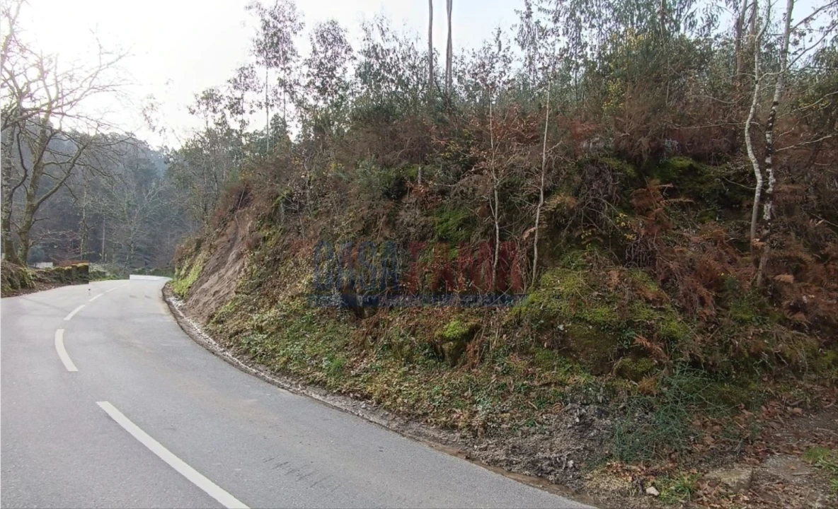 Terreno para Venda em Sobradelo da Goma Foto 4