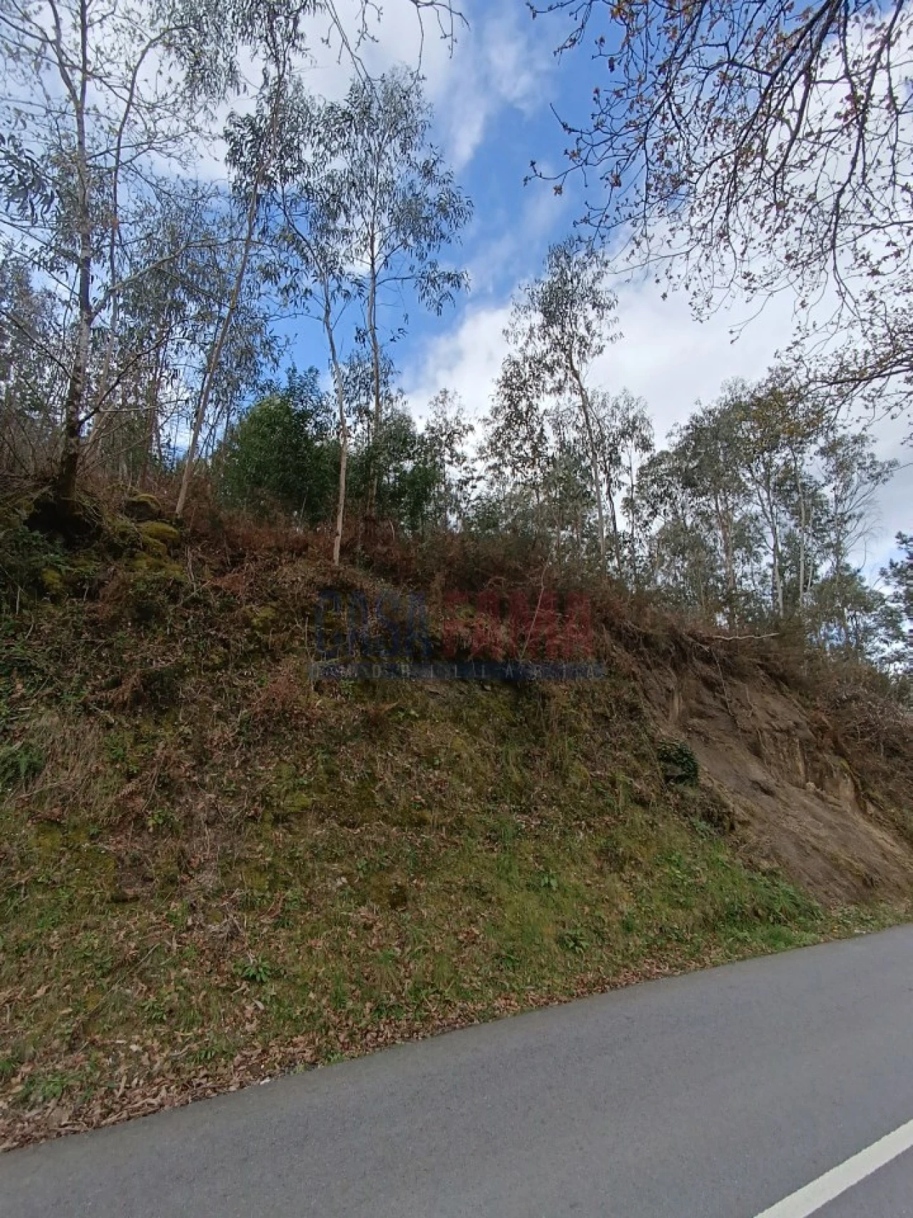 Terreno Agricola ou Rústico para Venda em Sobradelo da Goma Foto 23