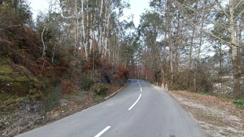 Terreno Agricola ou Rústico para Venda em Sobradelo da Goma