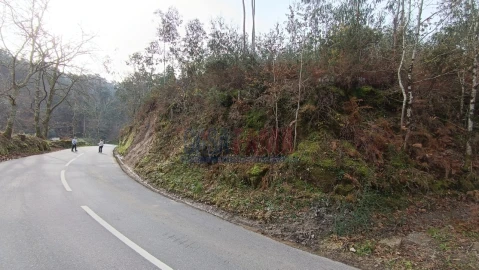 Terreno Agricola ou Rústico para Venda em Sobradelo da Goma