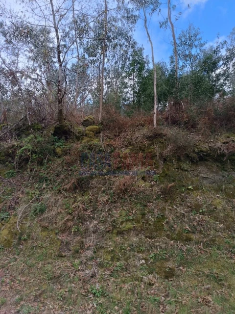 Terreno Agricola ou Rústico para Venda em Sobradelo da Goma