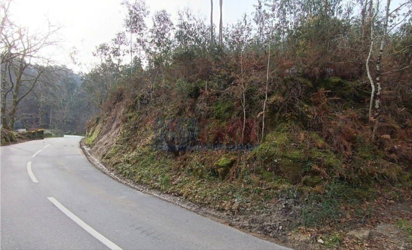 Terreno para Venda em Sobradelo da Goma Foto 4