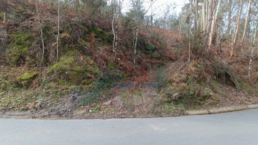 Terreno para Venda em Sobradelo da Goma Foto 5