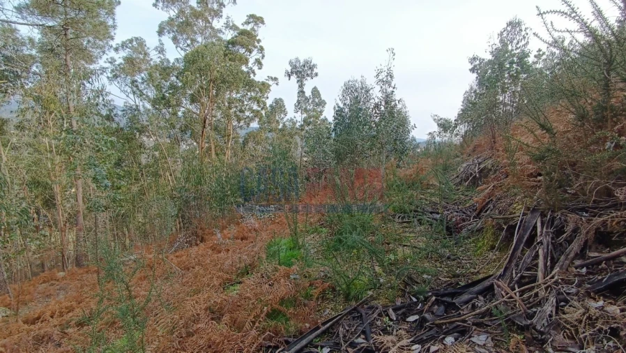 Terreno para Venda em Sobradelo da Goma Foto 6