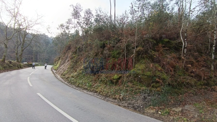 Terreno para Venda em Sobradelo da Goma Foto 9