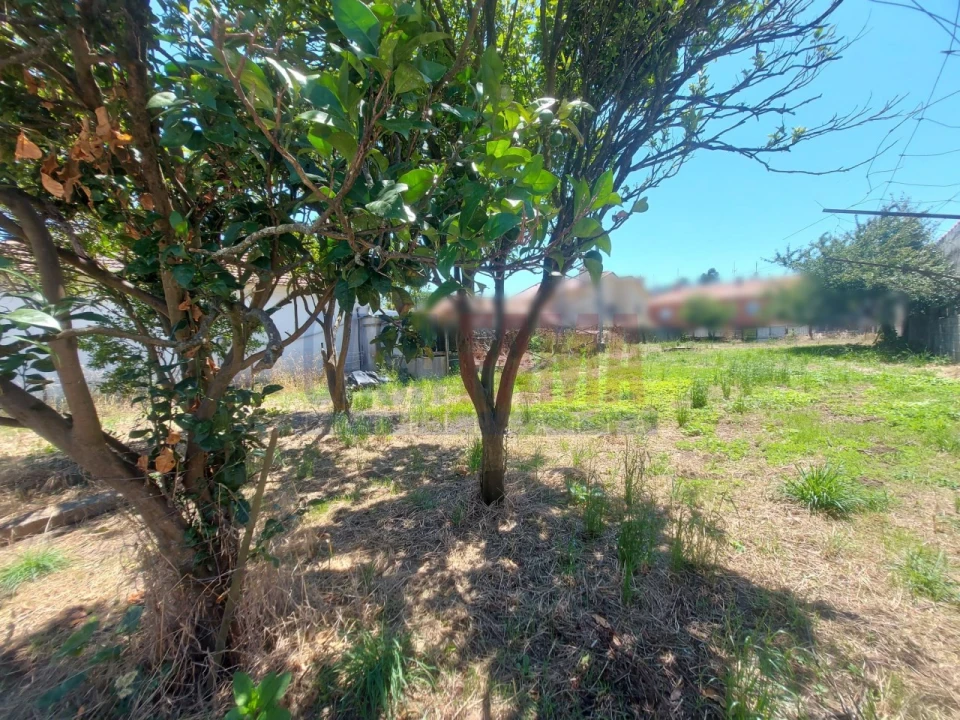 Terreno para Venda em Junqueira Foto 10