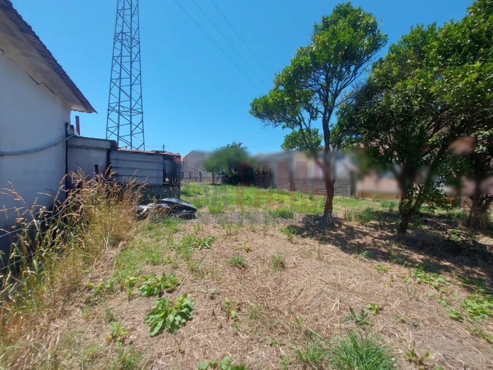 Terreno para Venda em Junqueira Foto 12