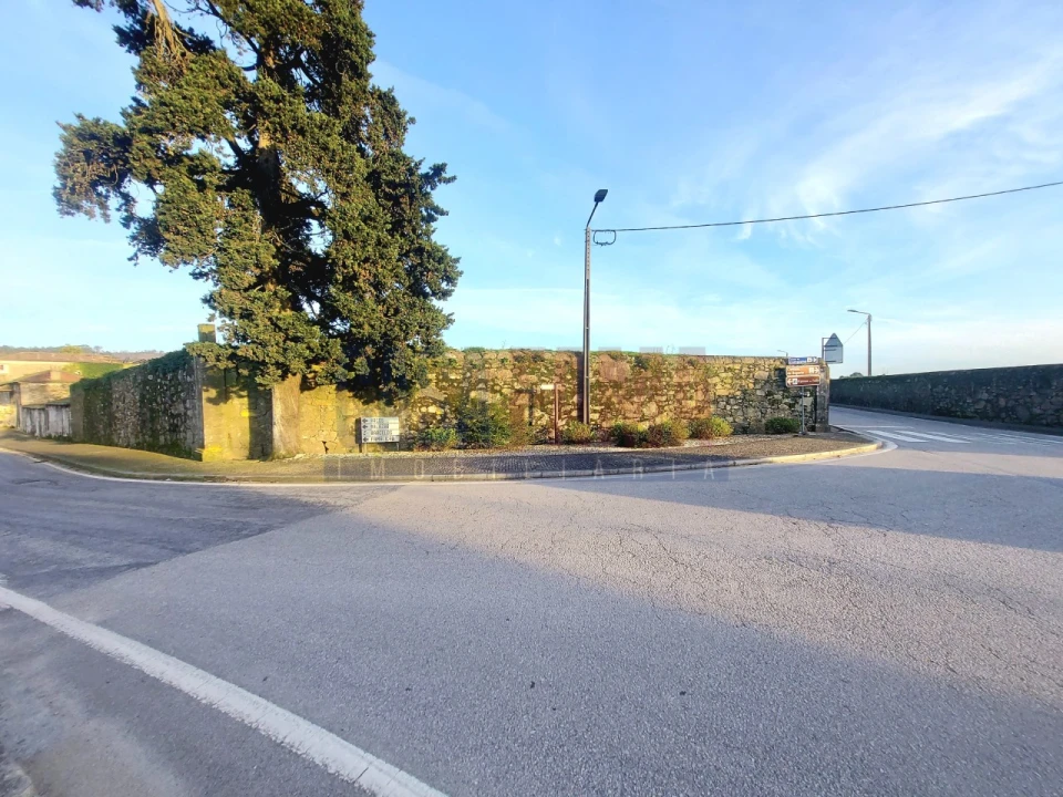 Terreno para Venda em Junqueira Foto 22