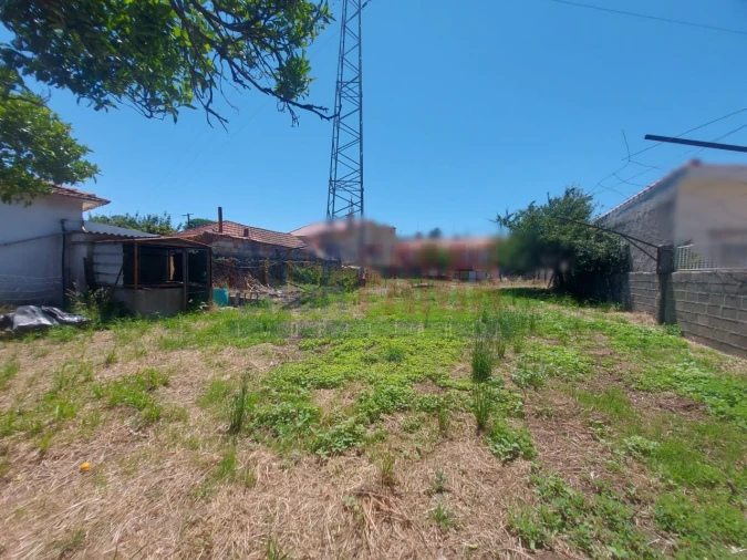 Terreno para Venda em Junqueira Foto 16