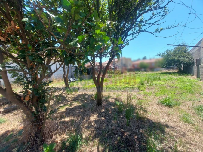 Terreno para Venda em Junqueira Foto 19