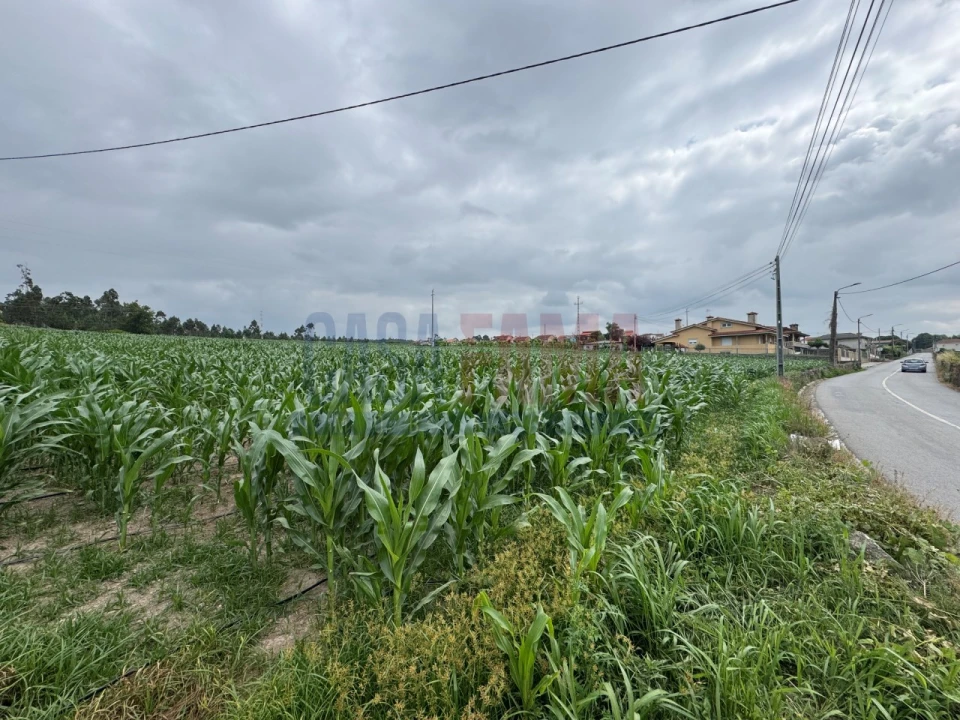 Terreno para Venda em Bagunte, Ferreiró, Outeiro Maior e Parada Foto 4