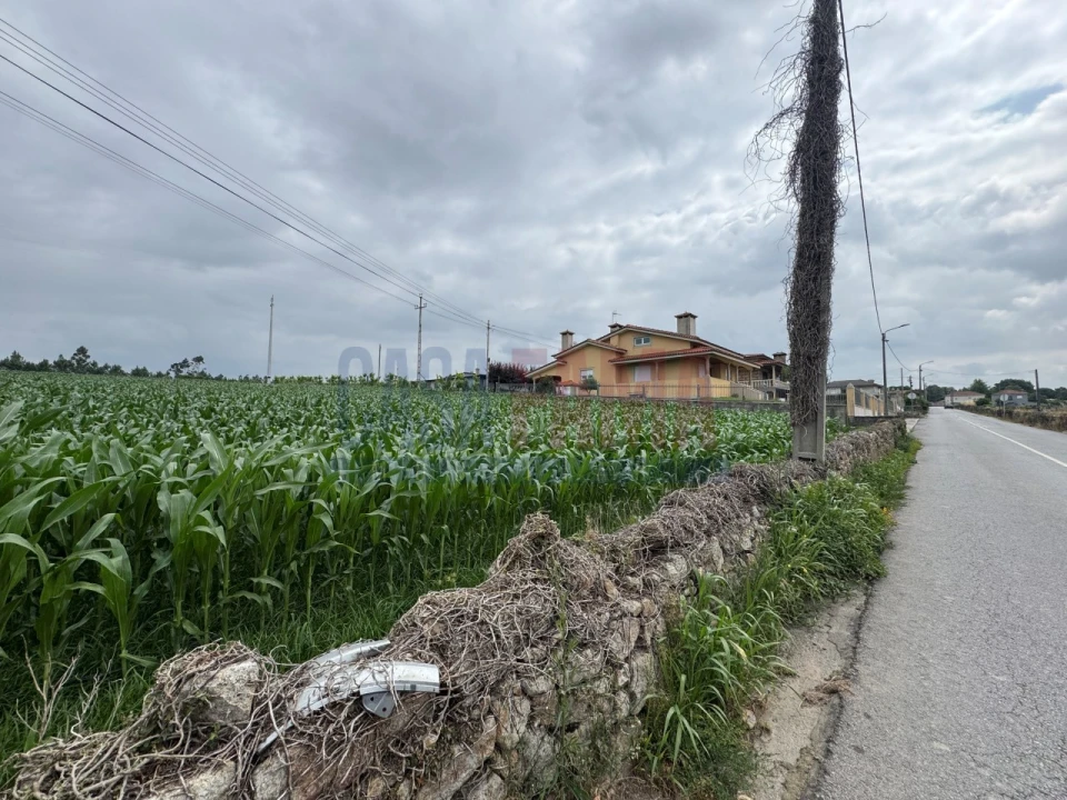 Terreno para Venda em Bagunte, Ferreiró, Outeiro Maior e Parada Foto 2