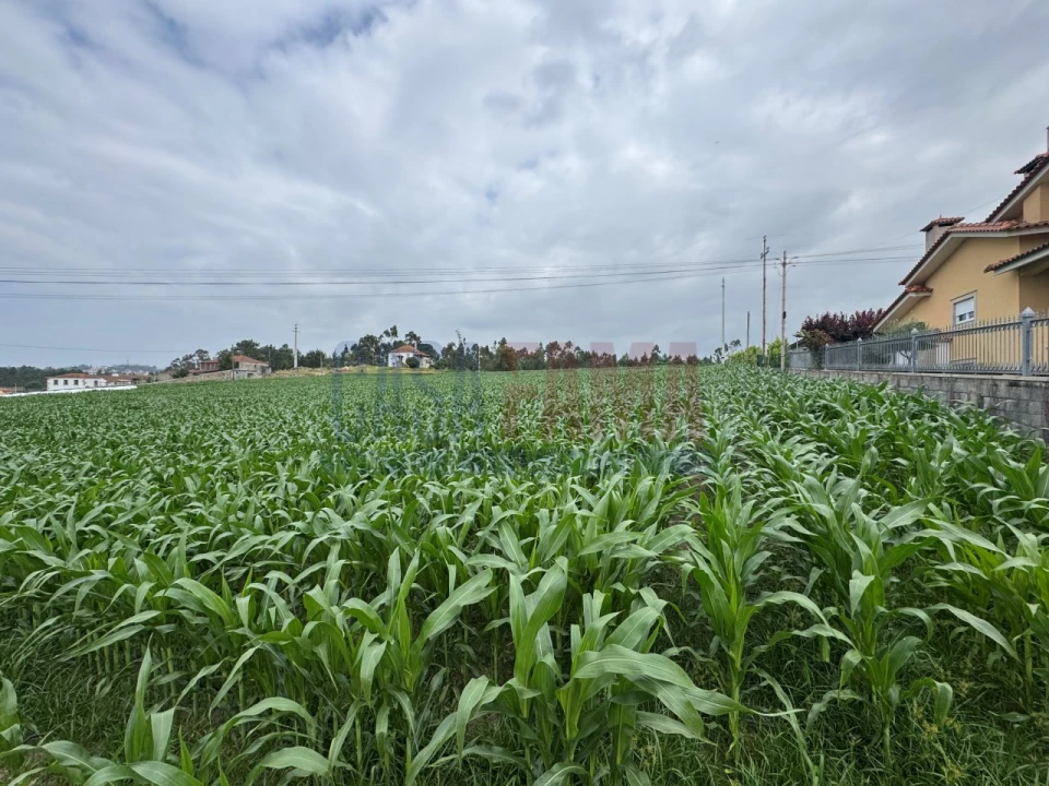 Terreno para Venda em Bagunte, Ferreiró, Outeiro Maior e Parada Foto 12