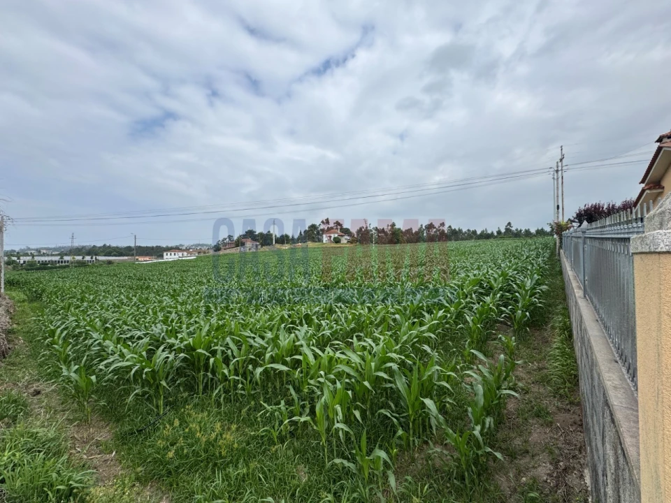 Terreno para Venda em Bagunte, Ferreiró, Outeiro Maior e Parada Foto 13