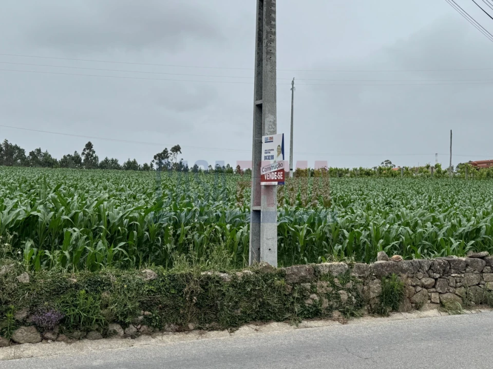 Terreno para Venda em Bagunte, Ferreiró, Outeiro Maior e Parada Foto 16