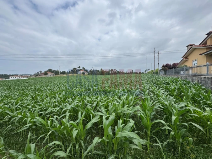 Terreno para Venda em Bagunte, Ferreiró, Outeiro Maior e Parada Foto 12