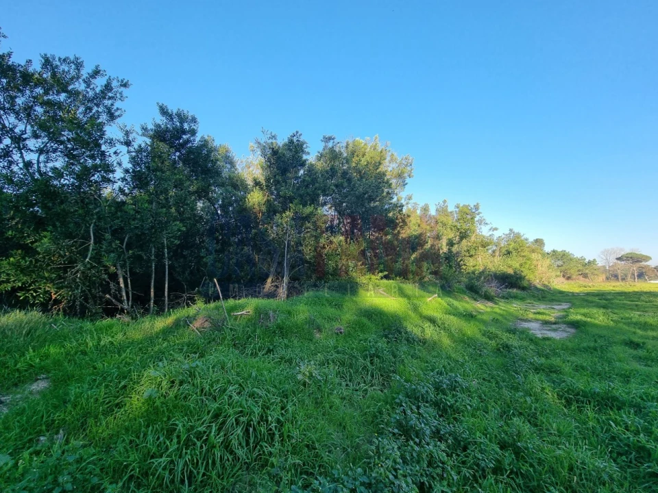 Terreno para Venda em Apúlia e Fão Foto 2