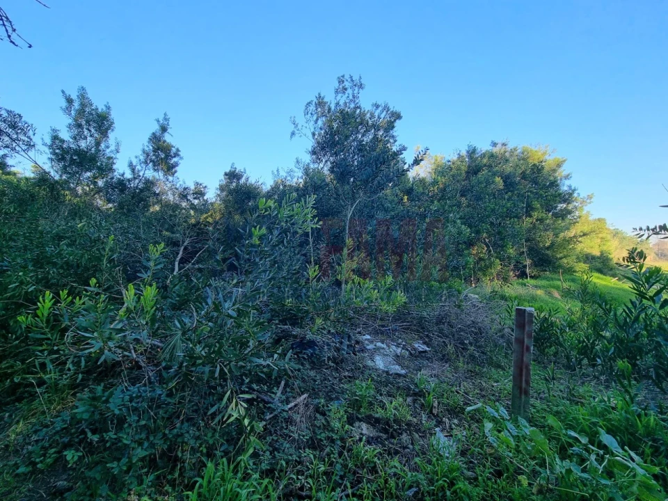 Terreno para Venda em Apúlia e Fão Foto 5
