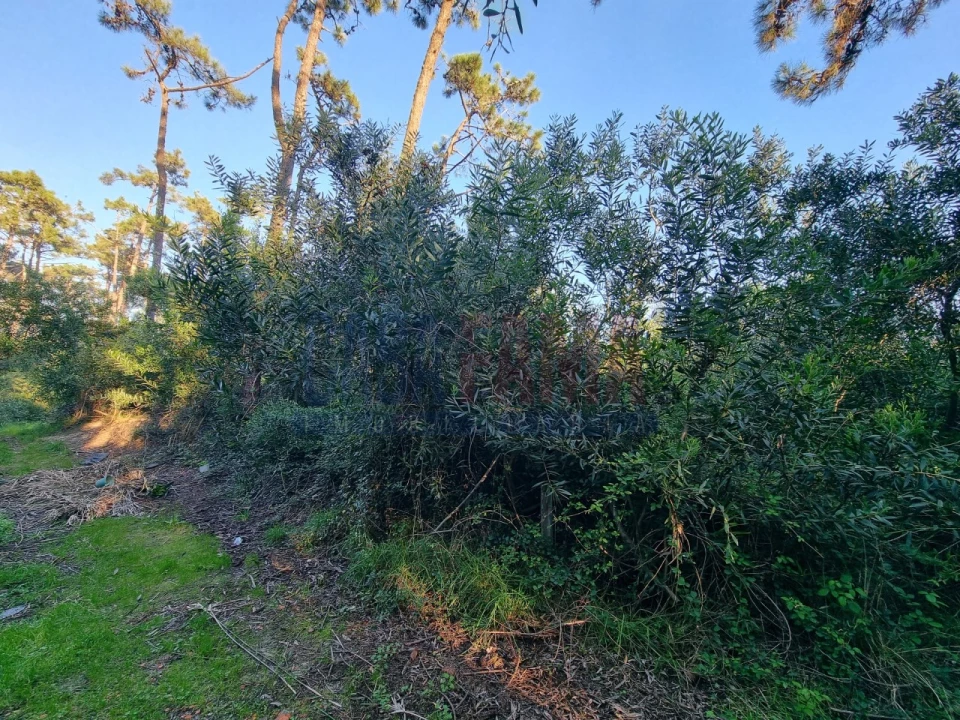 Terreno para Venda em Apúlia e Fão Foto 8