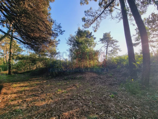 Terreno para Venda em Apúlia e Fão