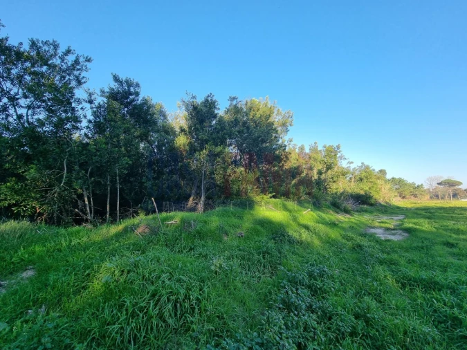 Terreno para Venda em Apúlia e Fão Foto 2