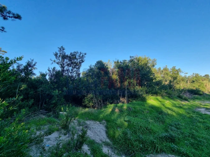 Terreno para Venda em Apúlia e Fão Foto 4