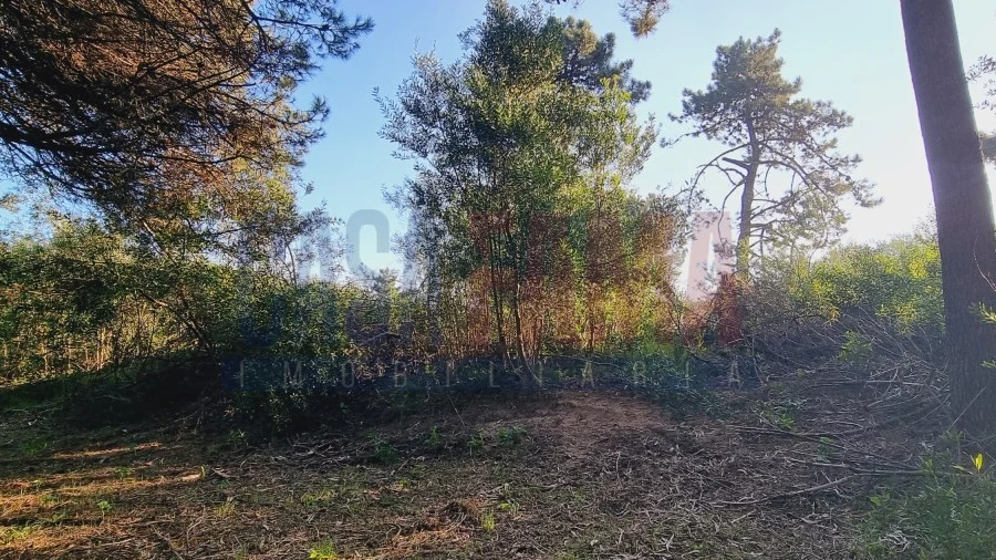 Terreno para Venda em Apúlia e Fão