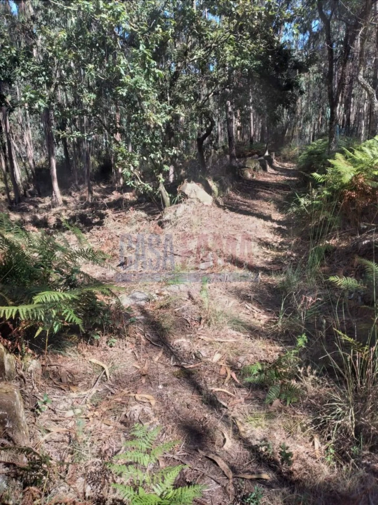 Terreno para Venda em Remelhe Foto 17