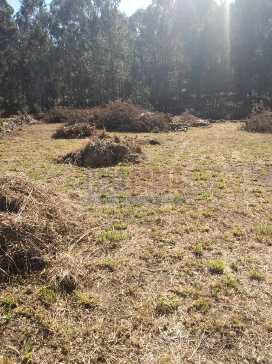 Terreno para Venda em Remelhe Foto 15