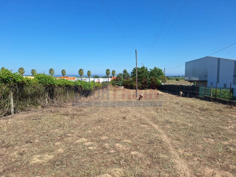 Terreno para Venda em Chamusca e Pinheiro Grande Foto 19