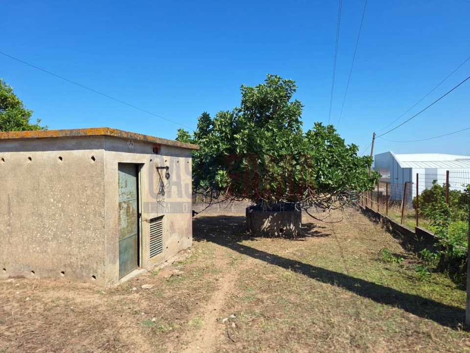 Terreno para Venda em Chamusca e Pinheiro Grande Foto 22