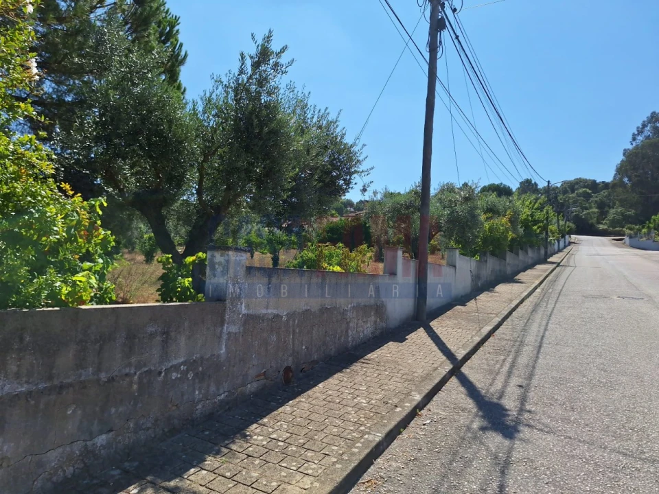 Terreno para Venda em Chamusca e Pinheiro Grande Foto 23