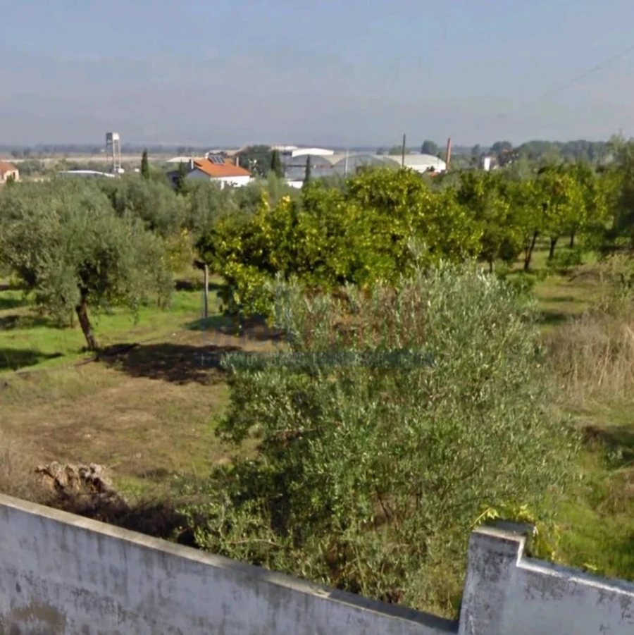 Terreno para Venda em Chamusca e Pinheiro Grande Foto 4