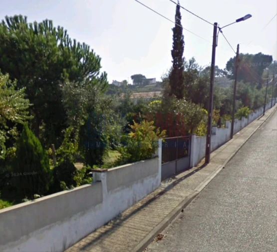 Terreno para Venda em Chamusca e Pinheiro Grande Foto 5