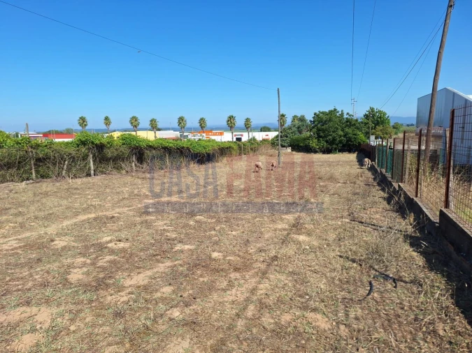Terreno para Venda em Chamusca e Pinheiro Grande Foto 8