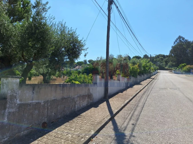 Terreno para Venda em Chamusca e Pinheiro Grande Foto 9
