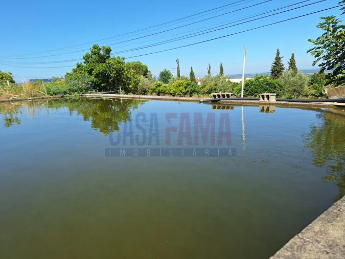 Terreno para Venda em Chamusca e Pinheiro Grande Foto 25